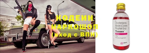 прущие грибы Дмитров