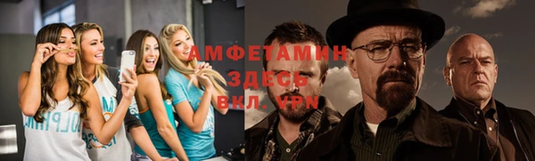 прущие грибы Дмитров