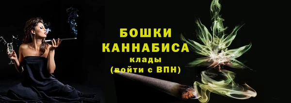прущие грибы Дмитров