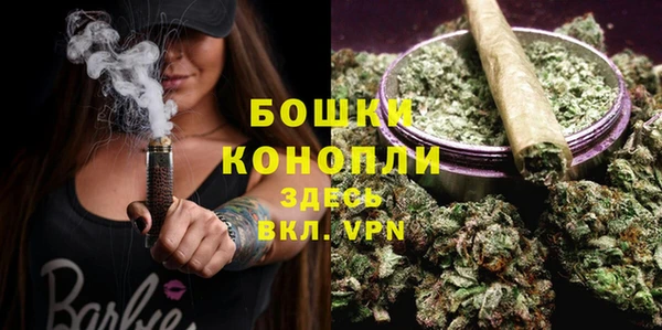 гидра Дмитровск