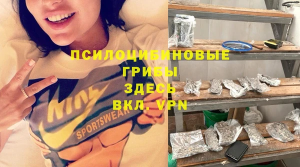 гидра Дмитровск