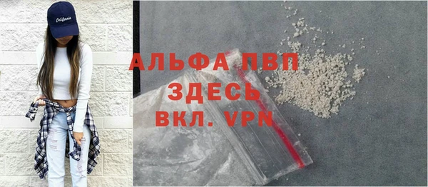 прущие грибы Дмитров