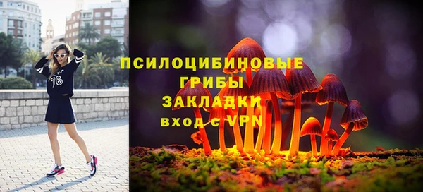 гидра Дмитровск