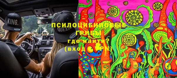 прущие грибы Дмитров