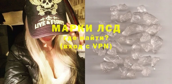 прущие грибы Дмитров