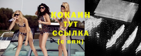 прущие грибы Дмитров