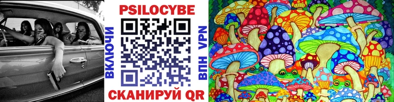 Купить закладки  Кремёнки  Галлюциногенные грибы Psilocybe 